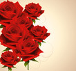 A fényképek részletei background with roses