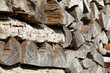 Holzbiege