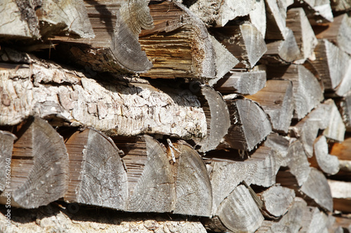 Foto: Holzbiege Holzbiege