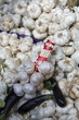 Garlic in market