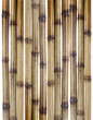 dry bamboo sticks isolated on white