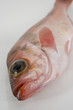 めばる
