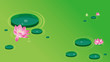 Lotus flowers-waterlily Lotus flowers-waterlily