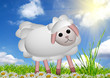 Cute funny sheep or lamb in green meadow Cute funny sheep or lamb in green meadow