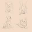 Animals