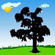 tree black silhouette in the park