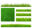 grass