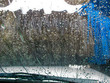 Car Washing