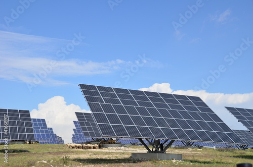 Photo: solar power plant with grazing sheep solar power plant with grazing sheep