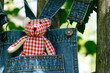 Teddybär in der Hosentasche