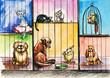 Animals in pound