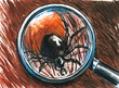 Tick close up Tick close up