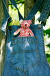 Teddybär in der Hosentasche