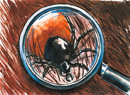 Illustration: Tick close up Tick close up