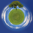 Grass Planet and Tree Going Green Concept