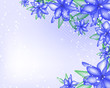 vector flower background for invitation