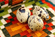 Quail eggs