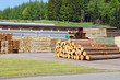 Foto: Sägewerk Sägewerk