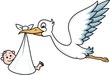 Stork with baby
