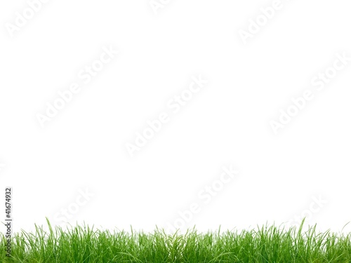 Photo: Grass Grass