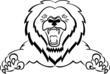 Lion Attacking