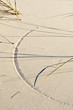 Arc in sand scribed by wind-blown Marram Grass. Arc in sand scribed by wind-blown Marram Grass.