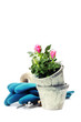 garden tools