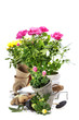 garden tools