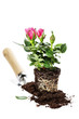 garden tools