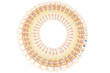 Euro banknotes ring Euro banknotes ring