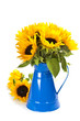 Sunflowers in a blue vase