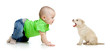 baby girl playing with puppy dog