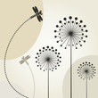 Dragonfly on a flower