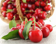 heap of cherries and leaf