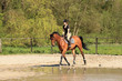 beautiful equestrienne on brown horse in summer beautiful equestrienne on brown horse in summer