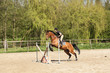 Young woman with a brown horse jump an obstacle Young woman with a brown horse jump an obstacle