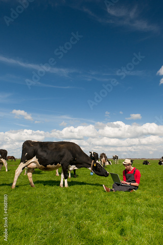 Photo: Young farmer with laptop in field with cows Young farmer with laptop in field with cows