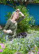 Young pretty woman looks after behind plants in the garden.. Young pretty woman looks after behind plants in the garden..