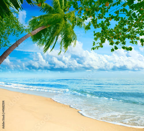 Photo: Beach Beach