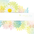 daisies background