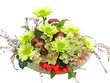 Modern autumal flower arrangement on white Modern autumal flower arrangement on white