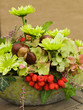 Modern autumal flower arrangement Modern autumal flower arrangement