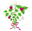 Bouquet of wild strawberries with a ribbon