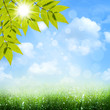 Under the blue skies. Abstract spring and summer backgrounds Under the blue skies. Abstract spring and summer backgrounds