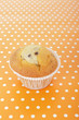Chocolate chip muffin