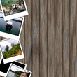 summer background
