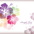 hibiscuses background hibiscuses background