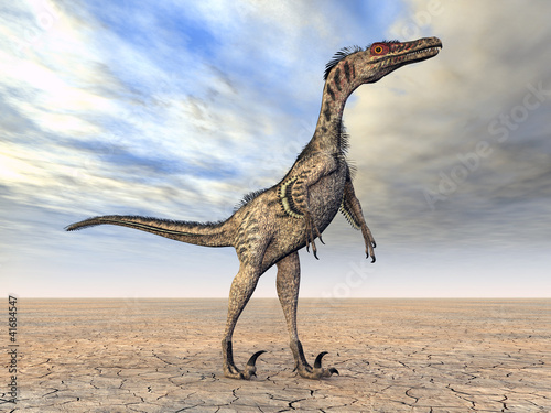 Illustration: Velociraptor Velociraptor