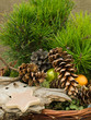 Natural christmas arrangement Natural christmas arrangement