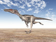 Dinosaur Velociraptor